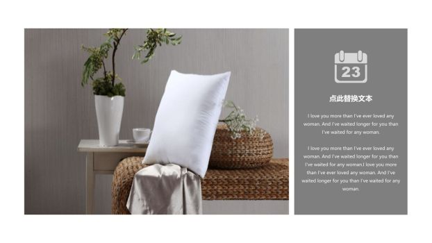 家居设计方案PPT模板9