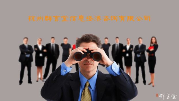 大气商务公司介绍PPT6