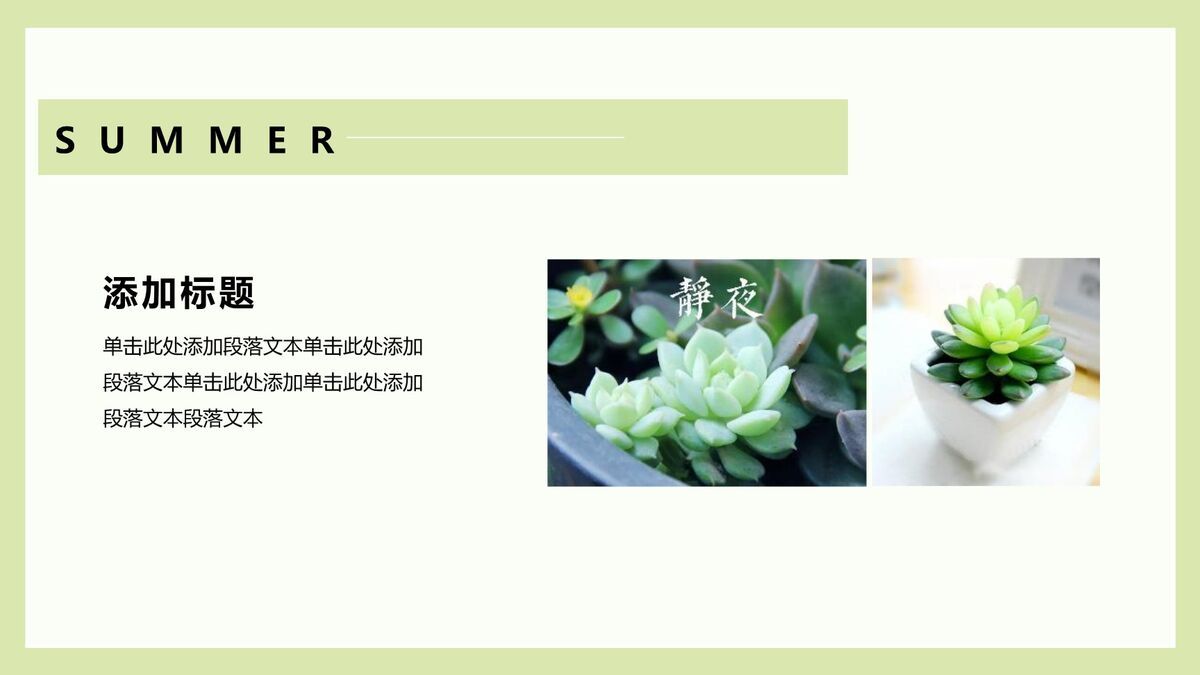 仙人掌多肉主题PPT模板2