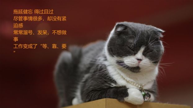 员工工作积极性激励培训PPT3