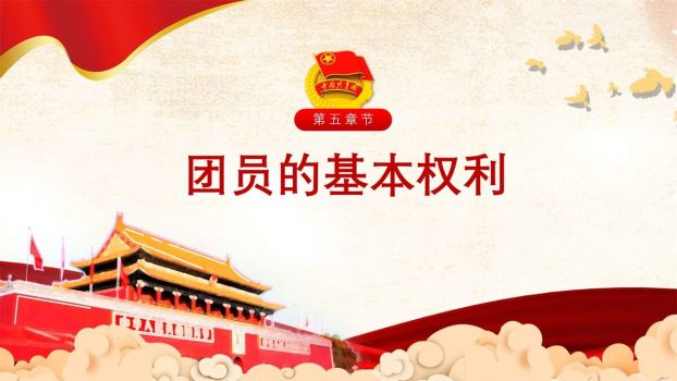 共青团员发展教育PPT模板9