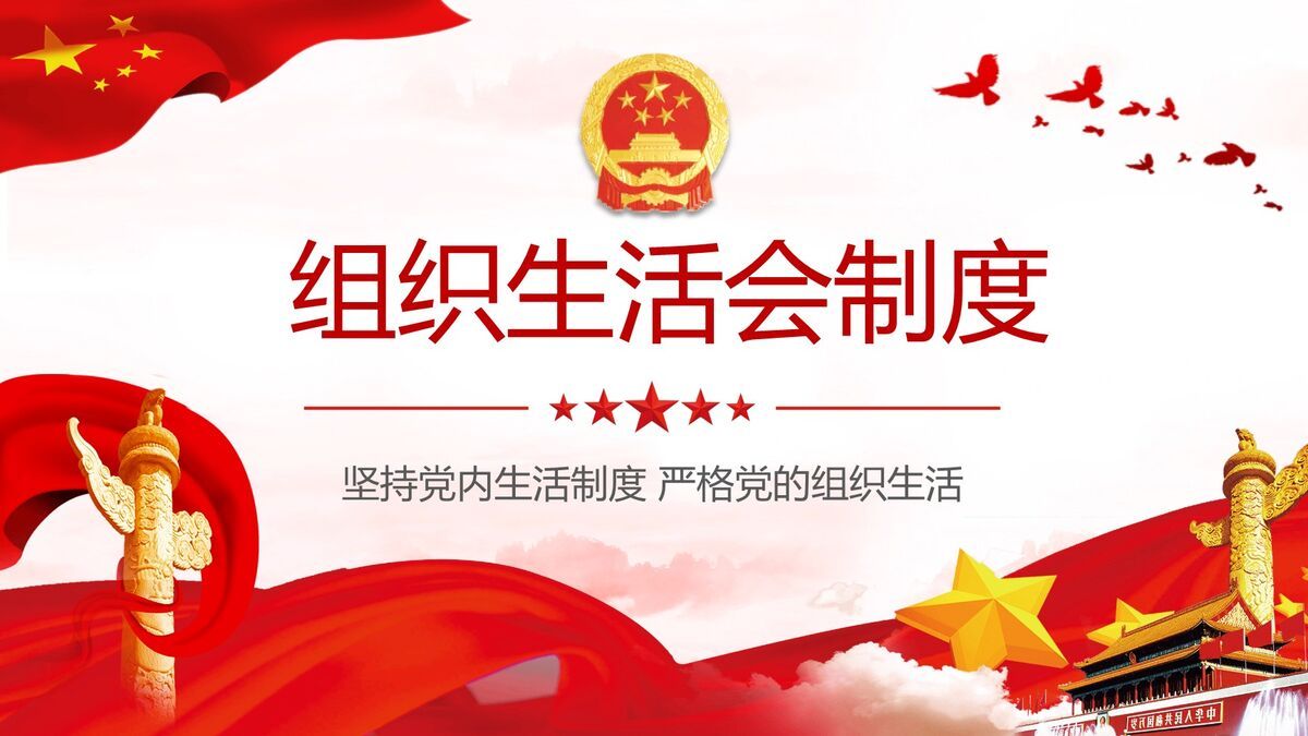 党的组织生活制度解读PPT模板5