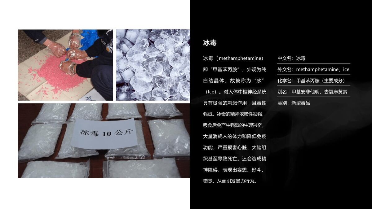 禁毒宣传教育课件PPT模板5