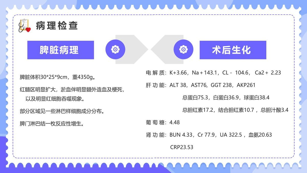 内科典型临床案例研讨PPT模板7