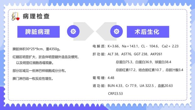 内科典型临床案例研讨PPT模板7