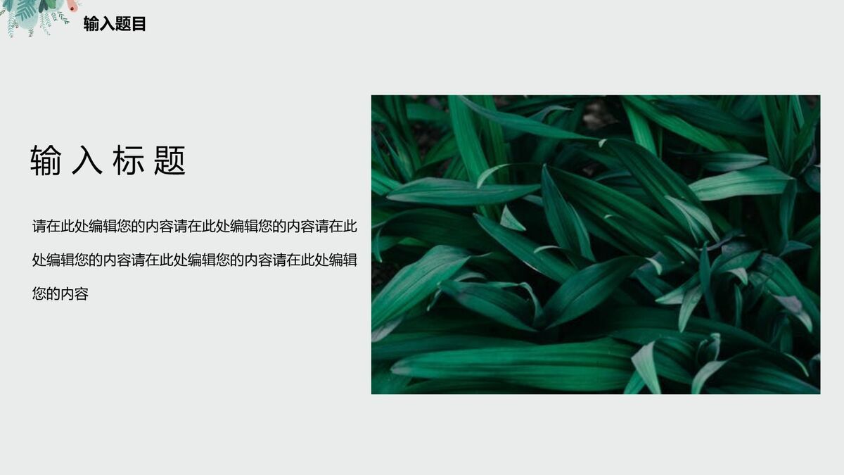 夏日清新主题背景PPT3