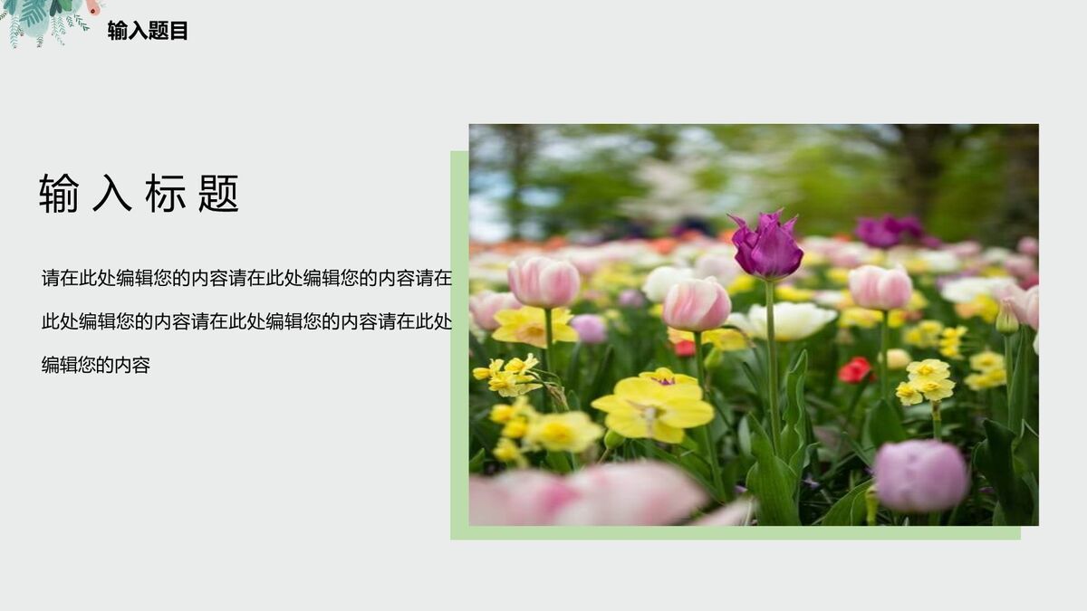 夏日清新主题背景PPT6