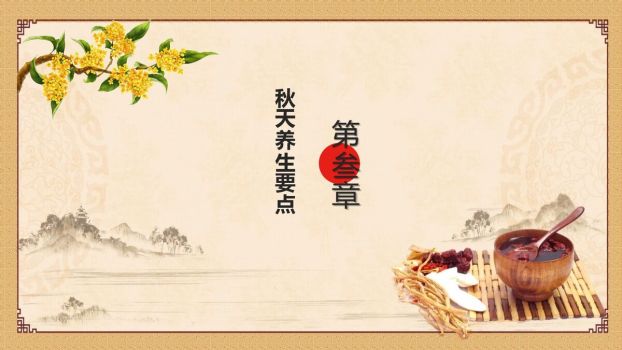 中医养生保健讲座PPT模板2