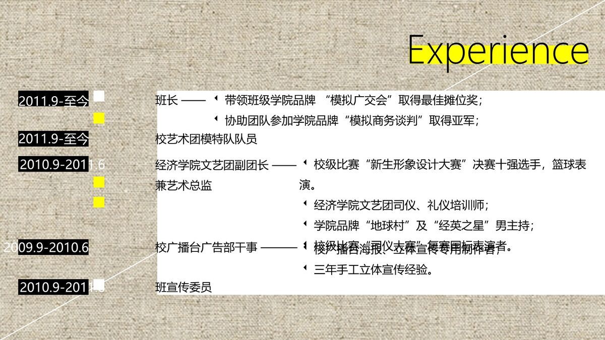 布纹背景个性简历PPT4