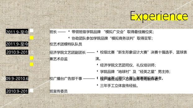 布纹背景个性简历PPT4