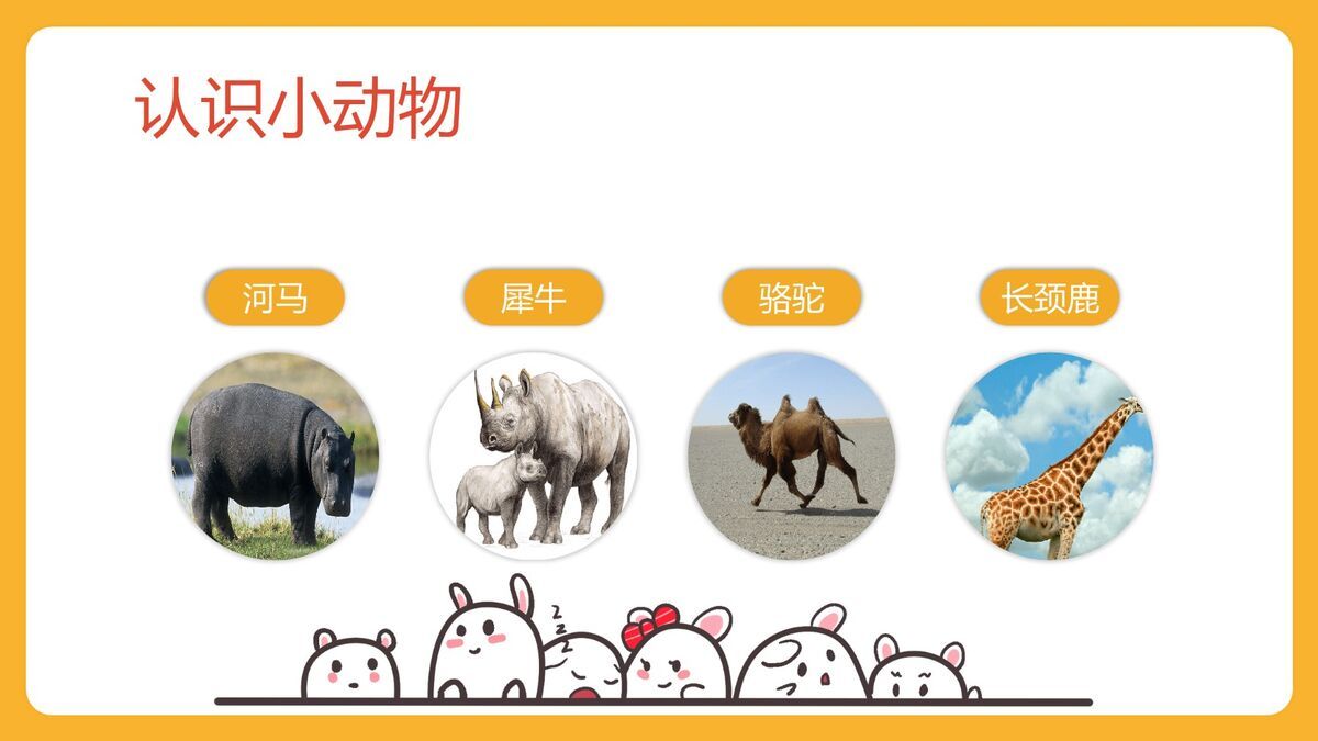 幼儿动物认知课件PPT模板2