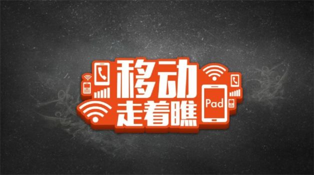 乐视营销分析PPT模板9