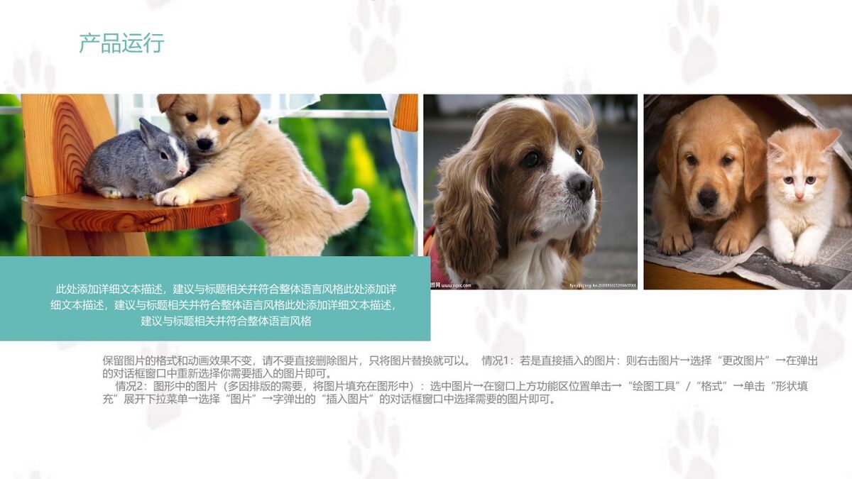 萌宠狗狗主题PPT模板2