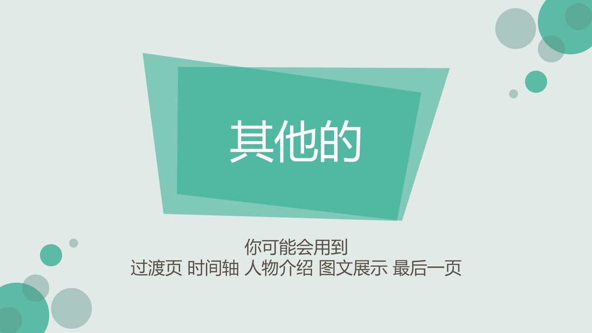 精美风格工作总结PPT模板8