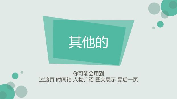 精美风格工作总结PPT模板8