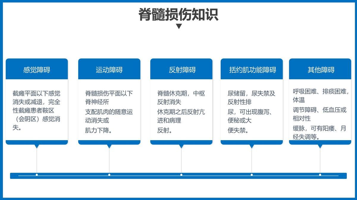 骨髓损伤护理查房PPT模板4