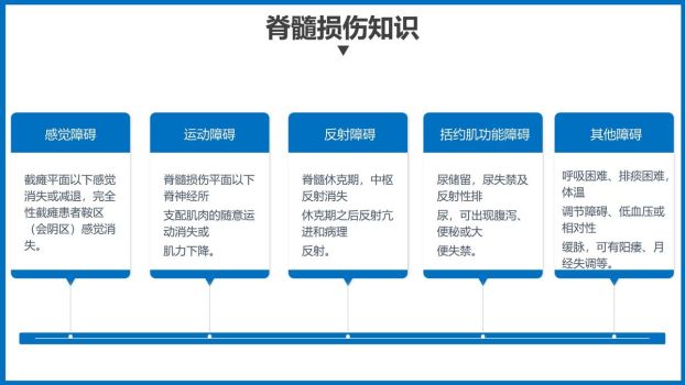 骨髓损伤护理查房PPT模板4
