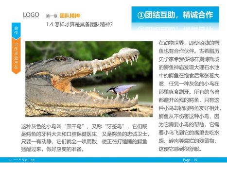 团队精神与忠诚度培训PPT6