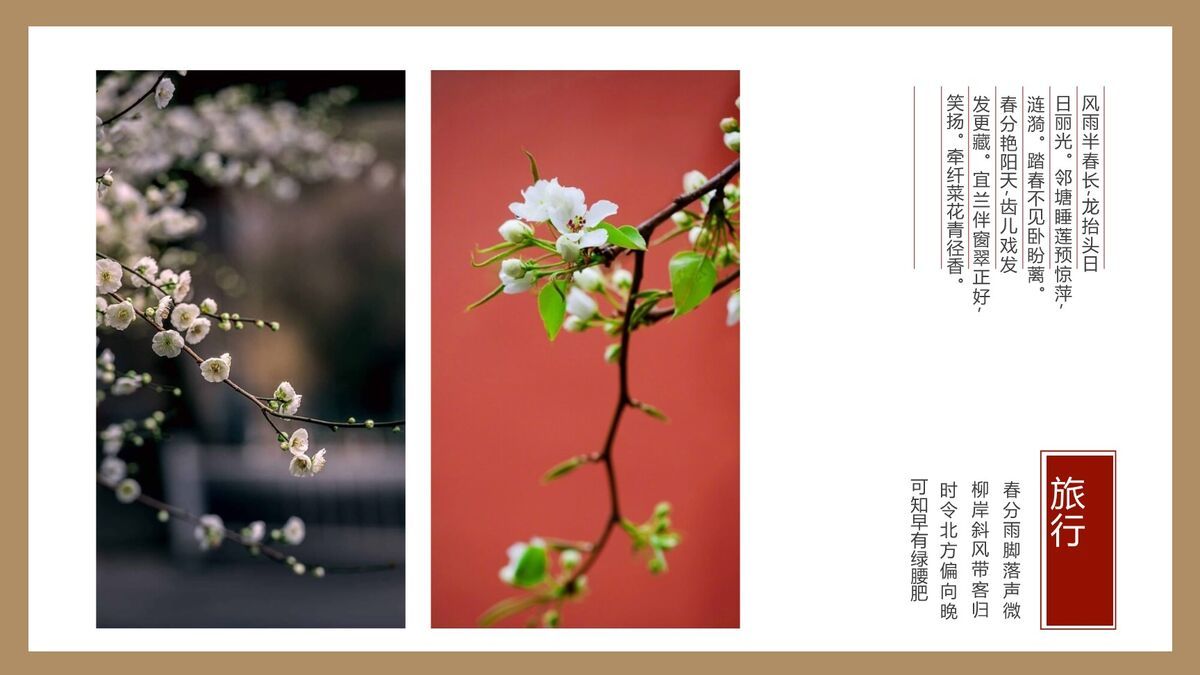 故宫文化旅游推介PPT模板2