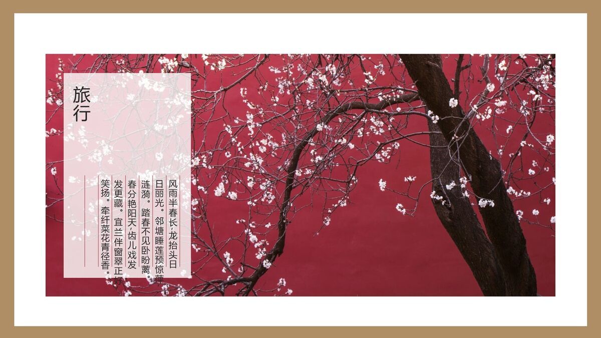 故宫文化旅游推介PPT模板4