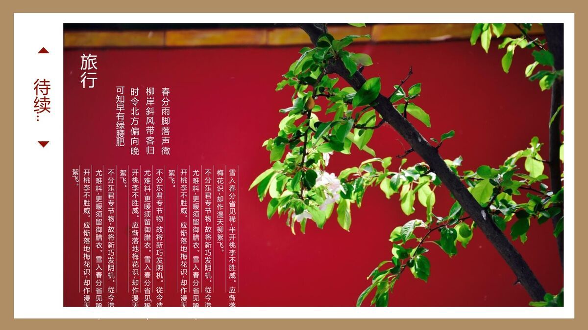 故宫文化旅游推介PPT模板5