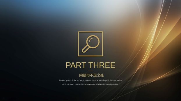 黑金奢华风工作汇报PPT8