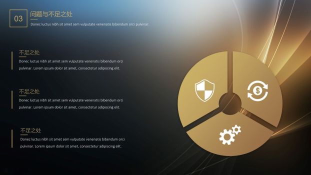 黑金奢华风工作汇报PPT9