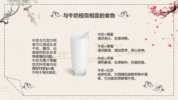 中华美食文化主题PPT模板6