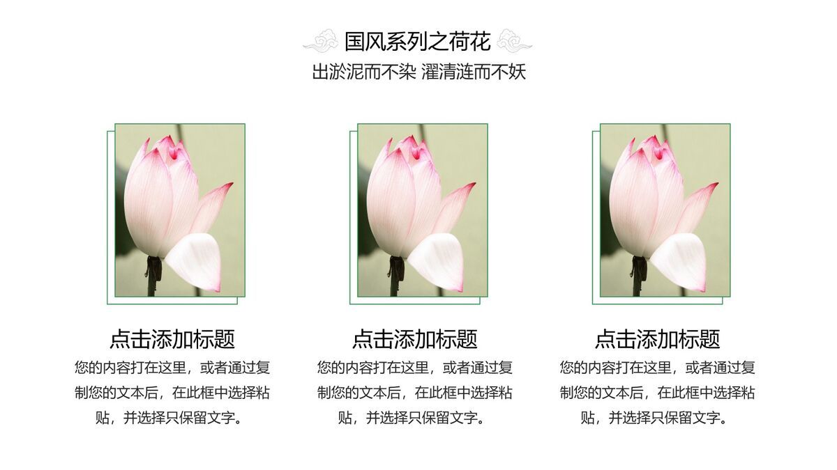 淡雅荷花中国风PPT模板9