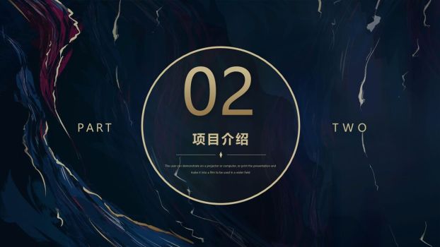 高端质感商业计划书PPT模板7