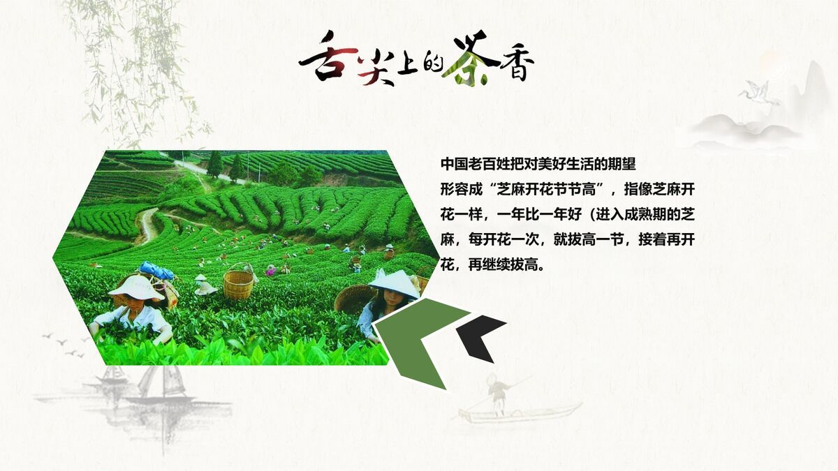 茶文化知识介绍赏析PPT课件5