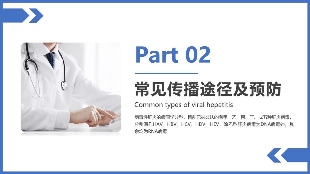 病毒性肝炎防治知识PPT模板2