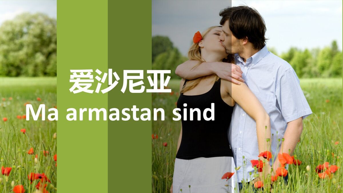 50种语言表白爱情PPT2