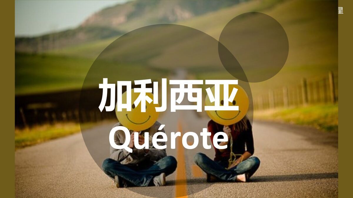 50种语言表白爱情PPT6