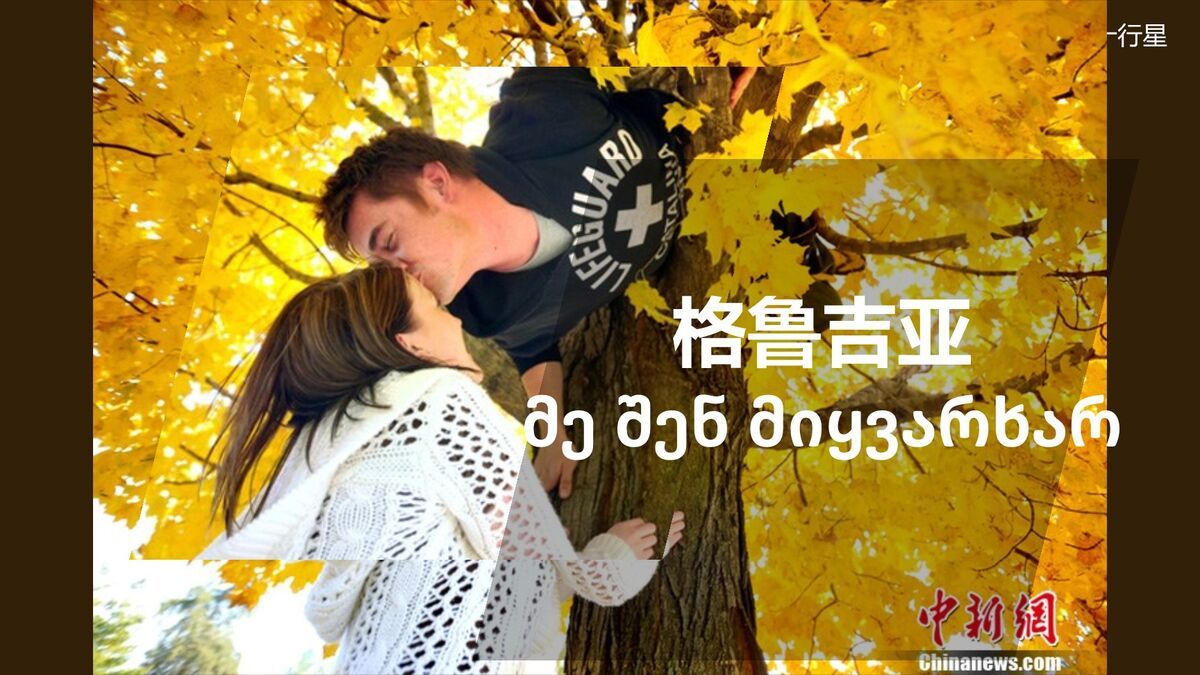 50种语言表白爱情PPT7