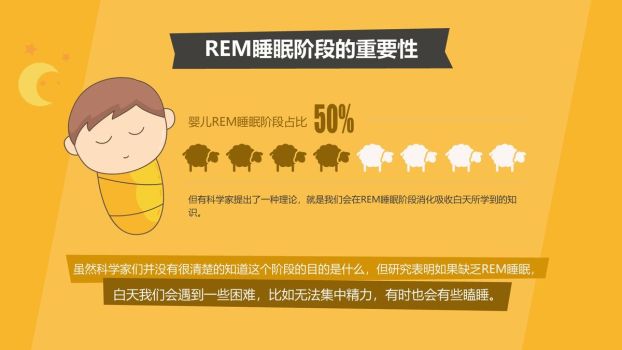 熬夜的危害与改善策略PPT课件1