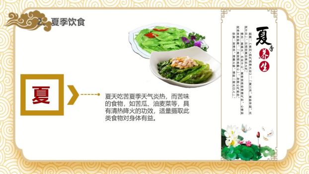 食疗养生指南PPT模板6