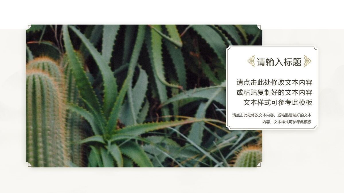 古典文艺清新风PPT模板2