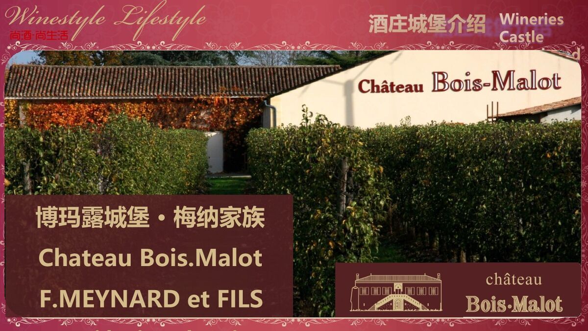 红酒品牌企业宣传介绍PPT模板4