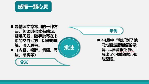 带上她的眼睛PPT课件83