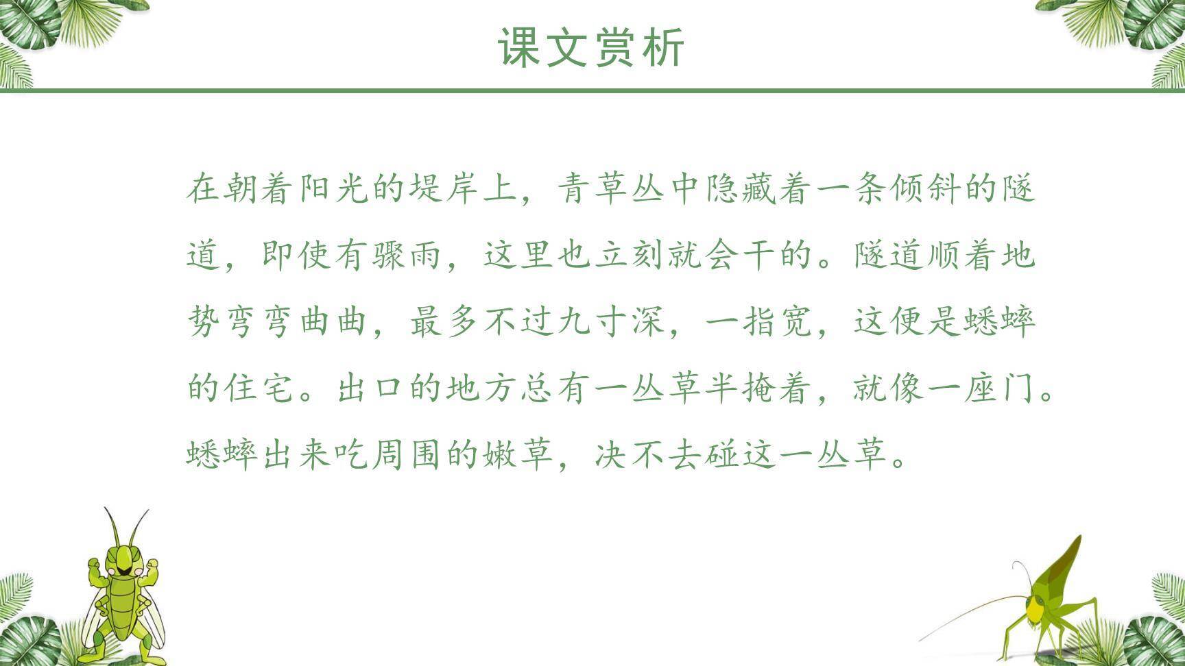 蟋蟀的住宅PPT课件18