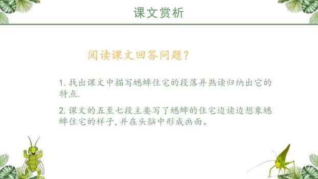 蟋蟀的住宅PPT课件19