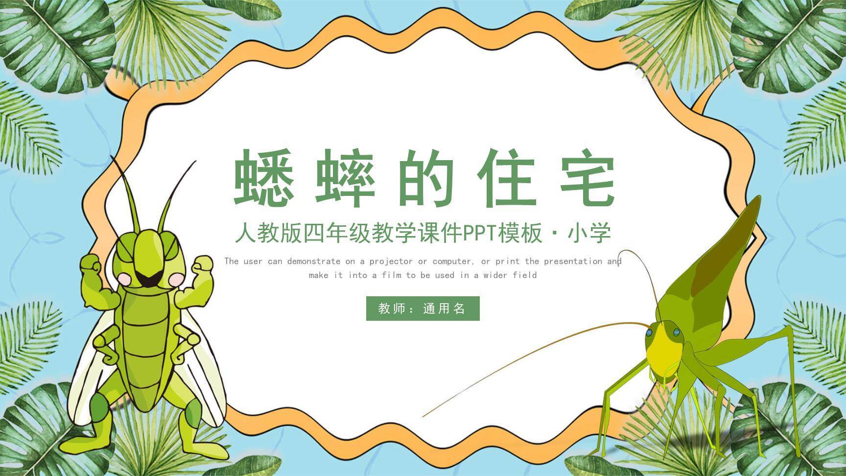 蟋蟀的住宅PPT课件10