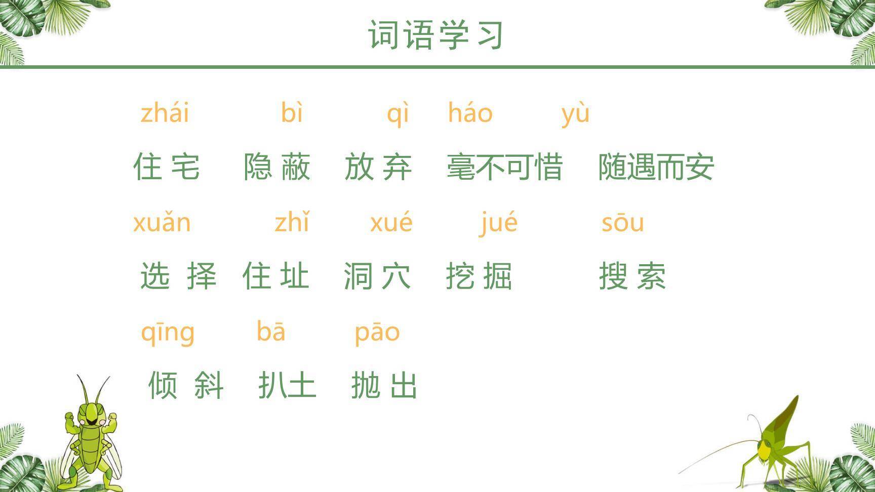 蟋蟀的住宅PPT课件11