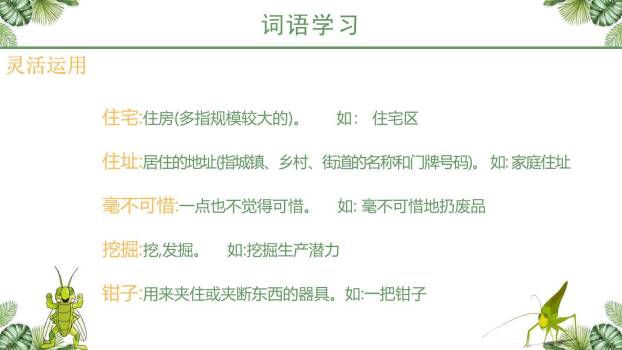 蟋蟀的住宅PPT课件12