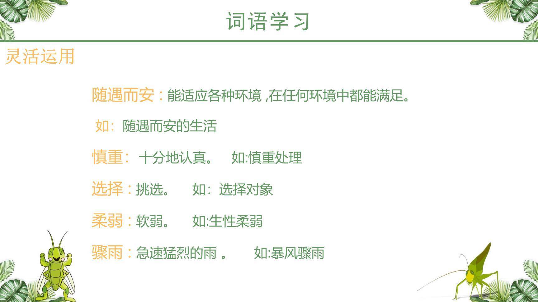 蟋蟀的住宅PPT课件13