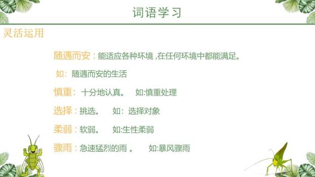 蟋蟀的住宅PPT课件13