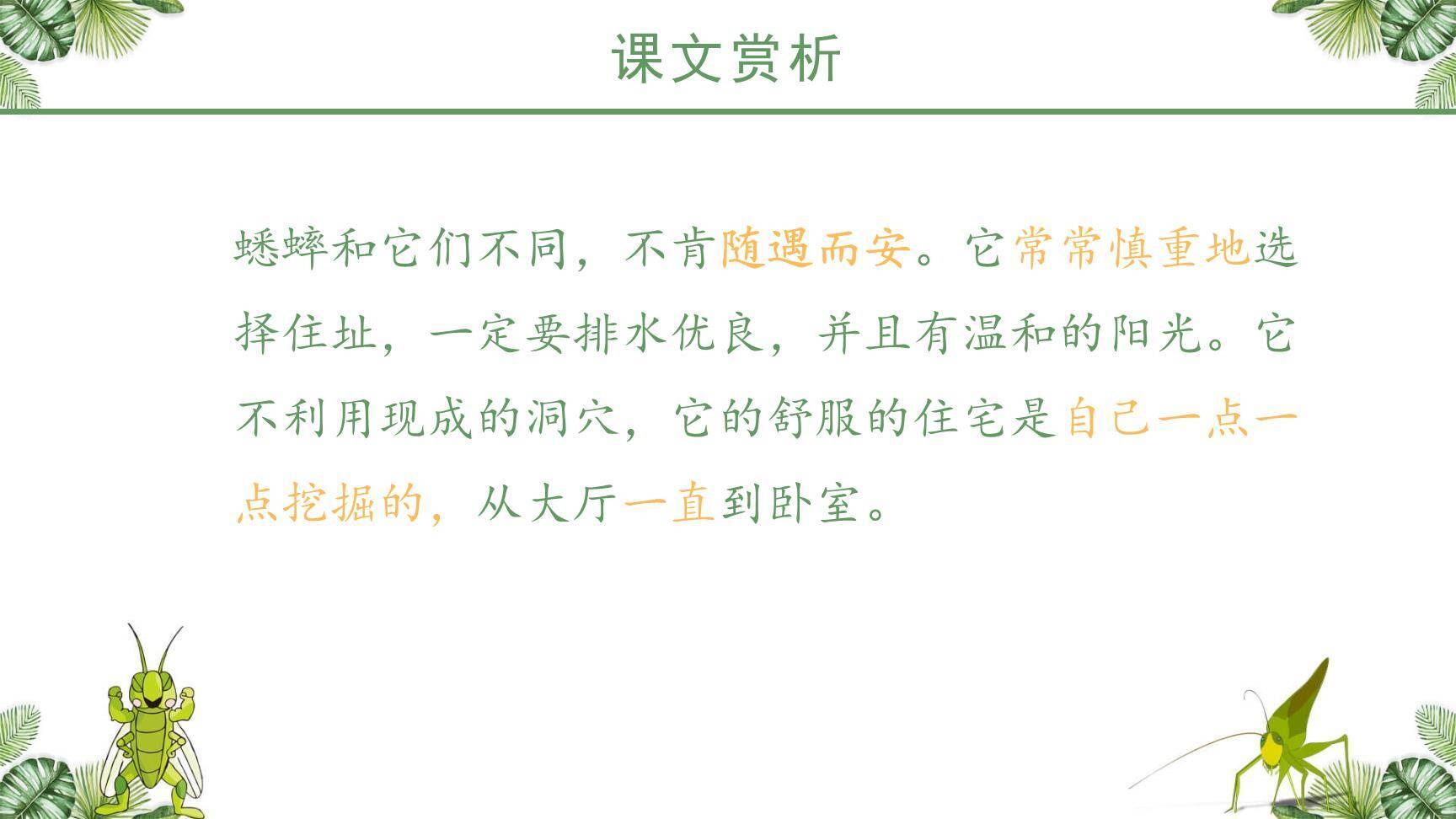 蟋蟀的住宅PPT课件17