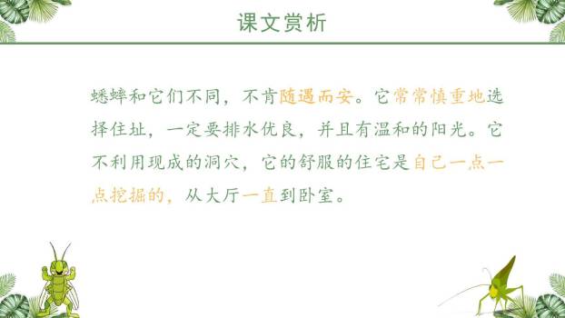 蟋蟀的住宅PPT课件17