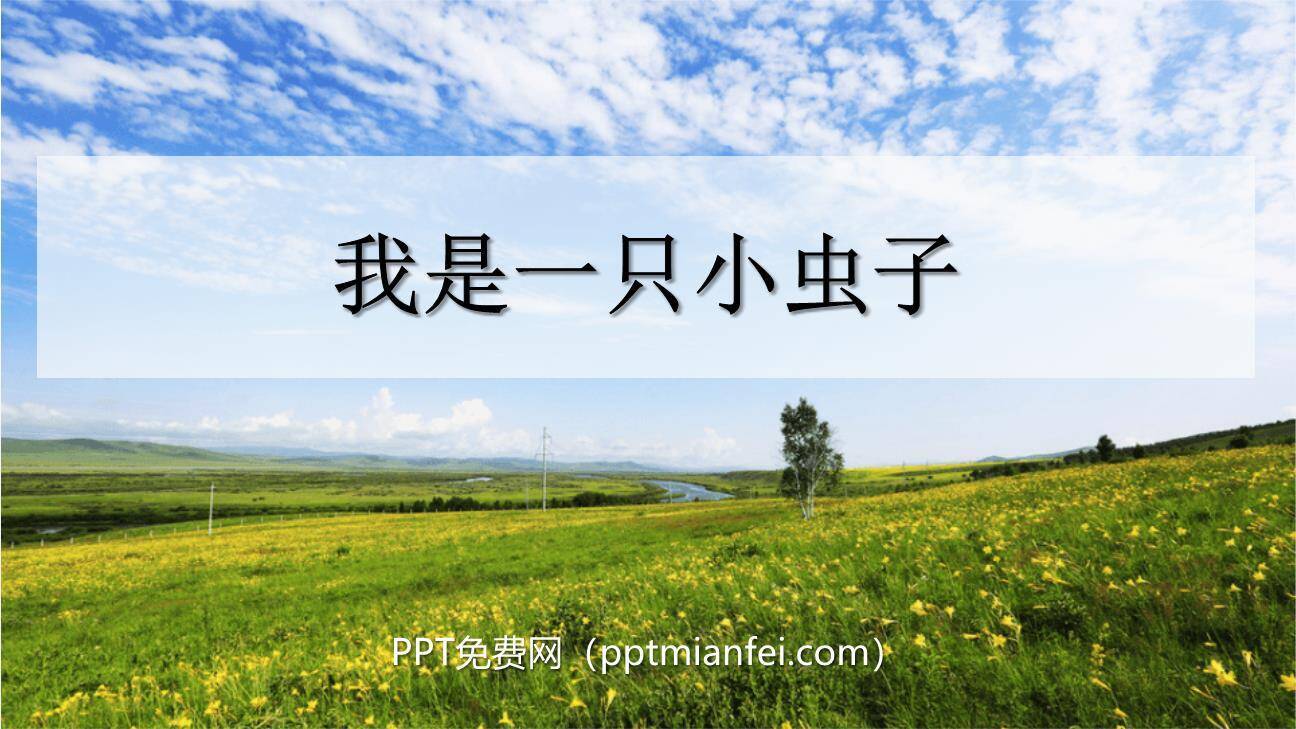 我是一只小虫子PPT课件10